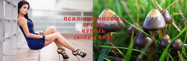 СК Абдулино