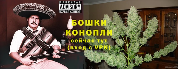 ГАЛЛЮЦИНОГЕННЫЕ ГРИБЫ Абаза