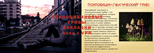 СК Абдулино